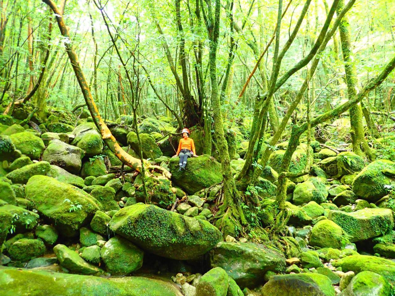 Yakushima Cottage Morino Fairy All Cotage With Open-Air Bath Экстерьер фото
